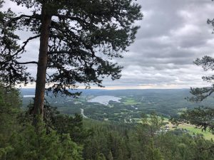 Nature and Lake